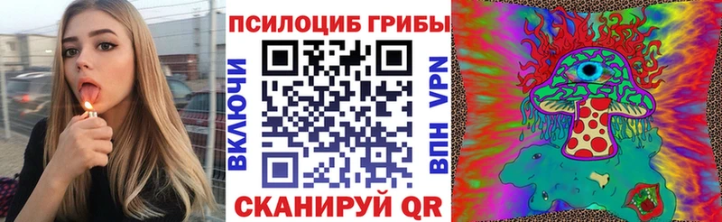 Псилоцибиновые грибы Psilocybe  Купить закладки  Власиха 